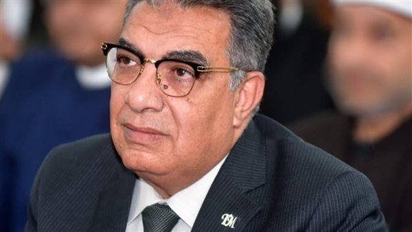 محافظ الدقهلية 