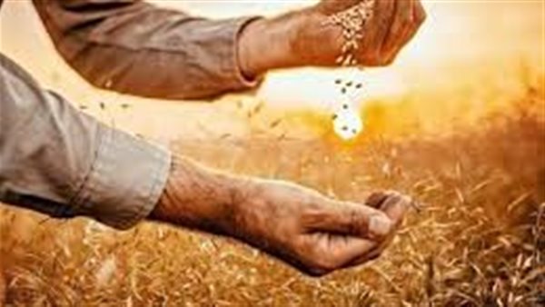 الأمن الغذائي 