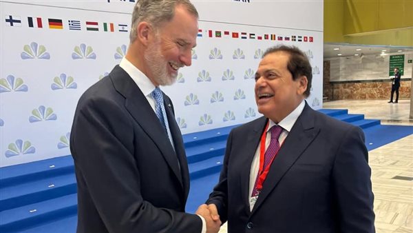 النائب محمد أبو العينين