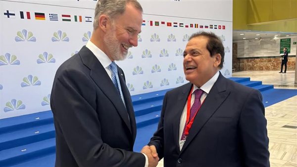 النائب محمد أبو العينين،