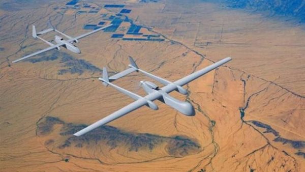 مالي والنيجر وبوركينا