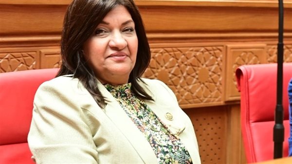 النائبة ايفلين متي،