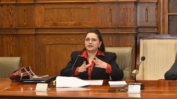 النائبة هيام فاروق،