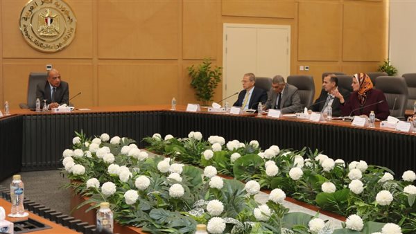 وزير الكهرباء 