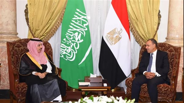 وزير الخارجية المصري