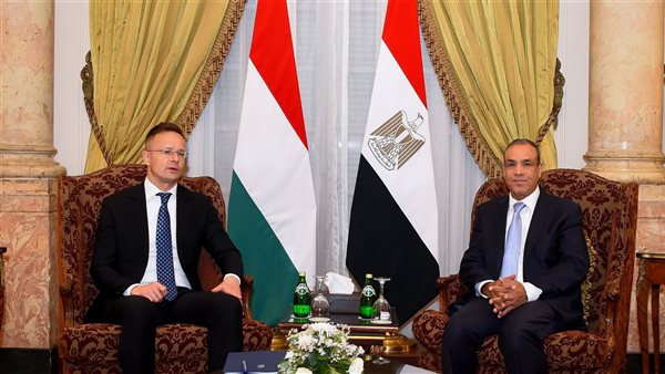 وزير الخارجية ونظيره