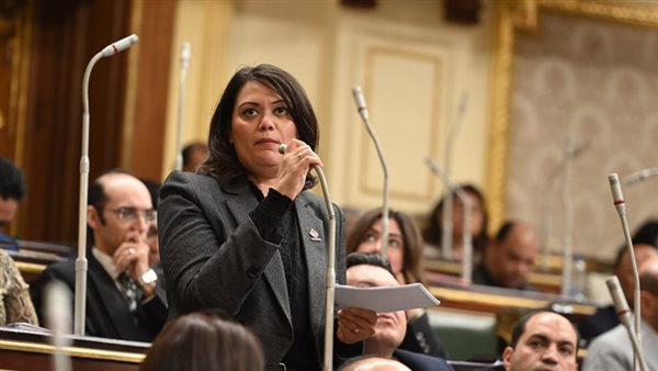 النائب مارسيل سمير،