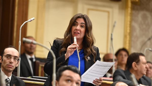 تنسيقية شباب الأحزاب