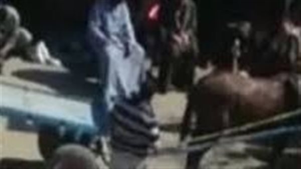 تعدي على حصان