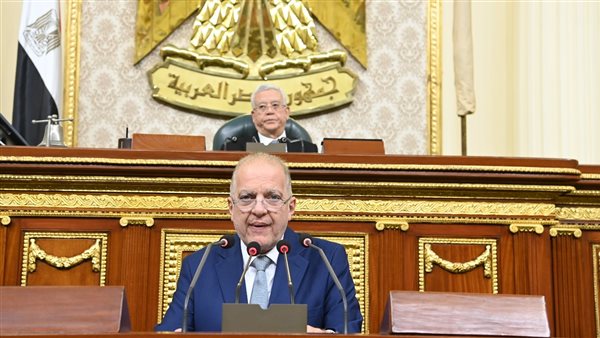  النائب طلعت السويدي