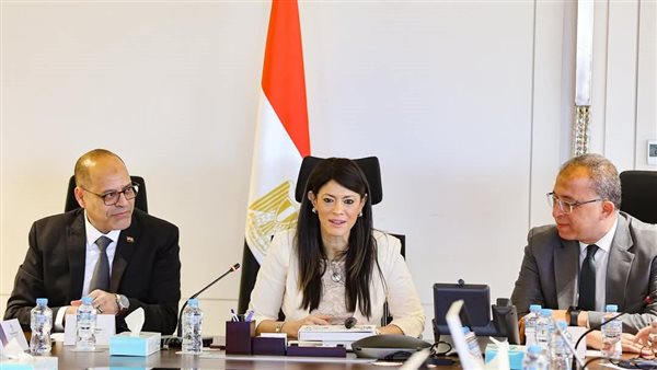 وزيرة التخطيط 