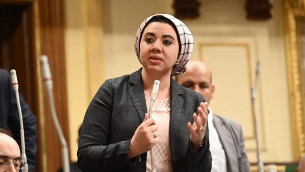 النائبة أميرة صابر،