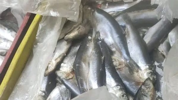 أسماك غير صالحة