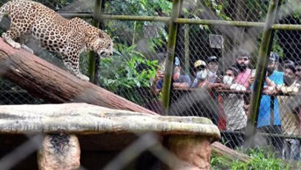 حديقة حيوان الجيزة