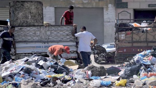 ظاهرة انتشار النباشين