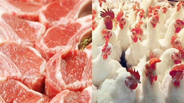 أسعار الدواجن واللحوم