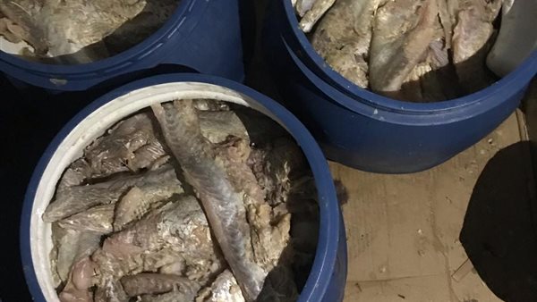 فسيخ غير صالح