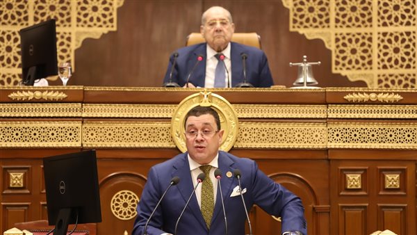 النائب هشام الحاج