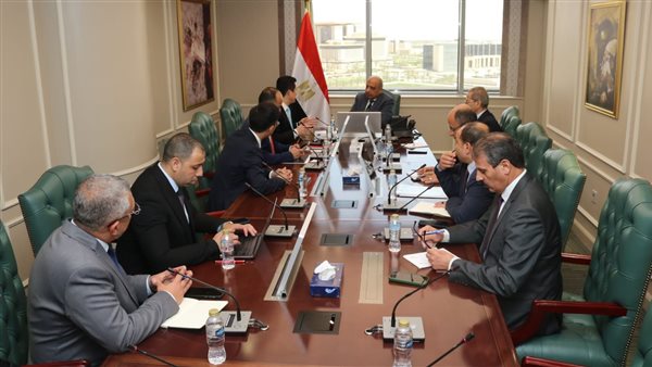 وزير الكهرباء 