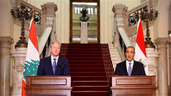 وزيرا خارجية مصر