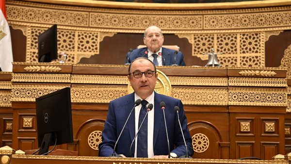  المهندس محمد شيمي