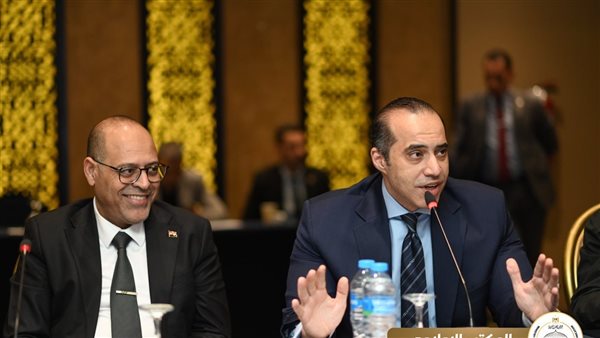 المستشار محمود فوزي،