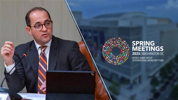 وزير المالية 