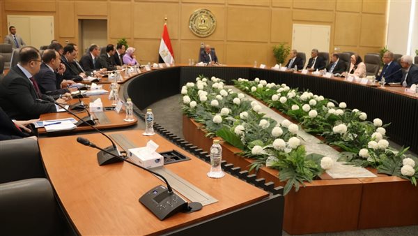 وزير الكهرباء 