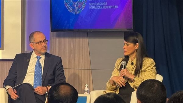 وزيرة التخطيط 