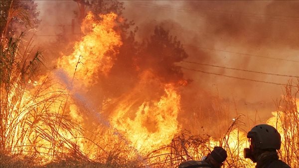 حرائق الغابات