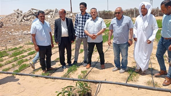 تنمية سيناء 