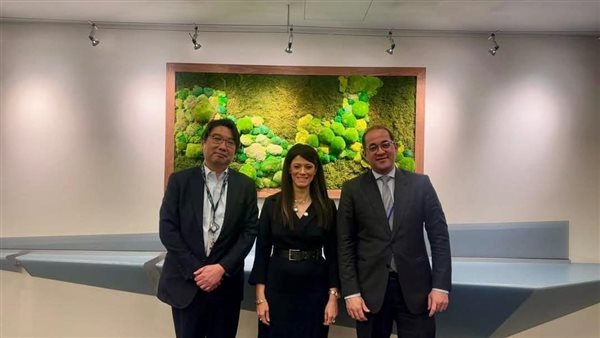 وزيرة التخطيط 