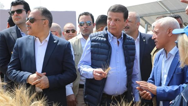 موسم حصاد القمح بالشرقية