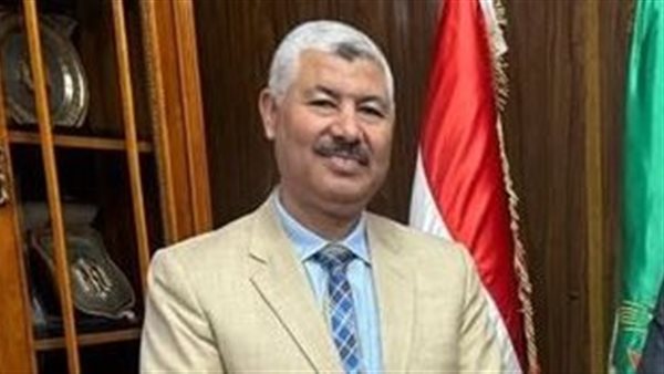 المهندس خالد غمري