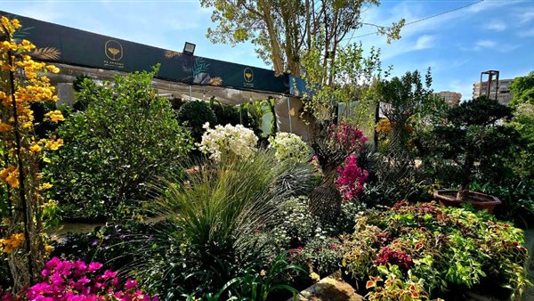 معرض الزهور2025