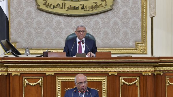 عطية الفيومي