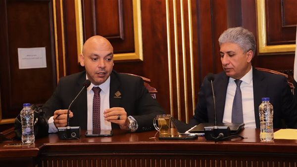 نائب التنسيقية محمود