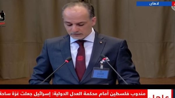 مندوب فلسطين