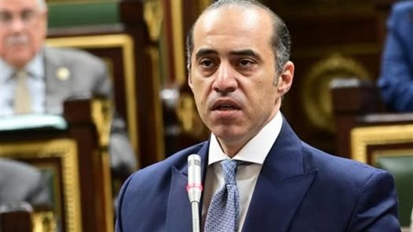 المستشار محمود فوزي