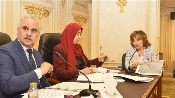 النائبة أماني الشعولي