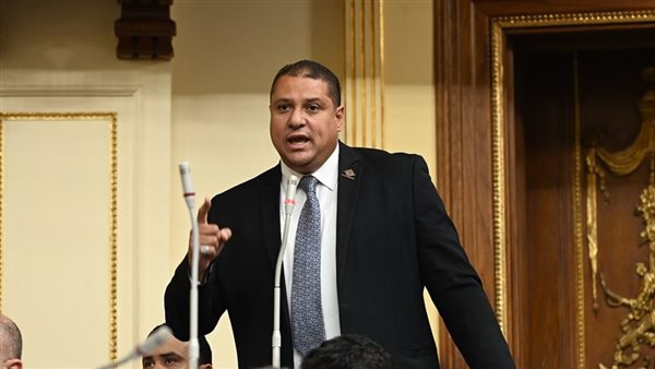 نائب التنسيقية محمد