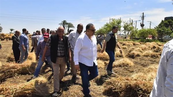 محافظ أسيوط