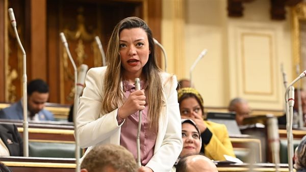 نائبة التنسيقية مي