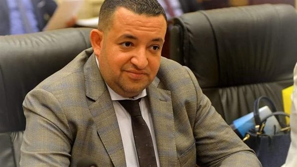 النائب تامر عبد القادر