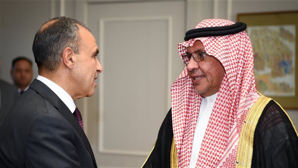 وزيرا الخارجية المصري