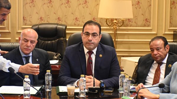  لجنة الشباب والرياضة