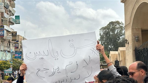 محيط محكمة دمنهور