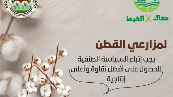 نصائح لمزارعي القطن