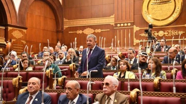 السفير عمرو حلمي