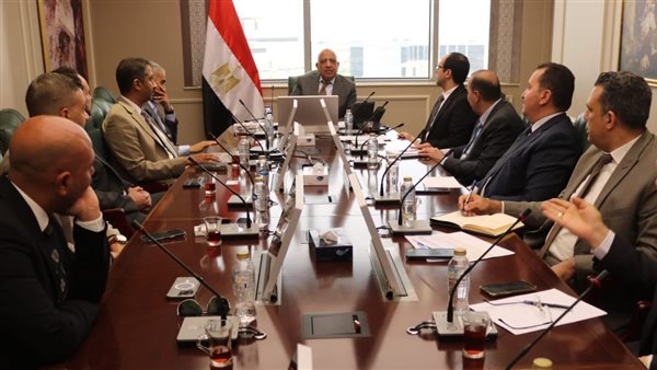 وزير الكهرباء 